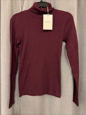 Everlane Burgundy Ribbed Turtleneck Long Sleeve Top